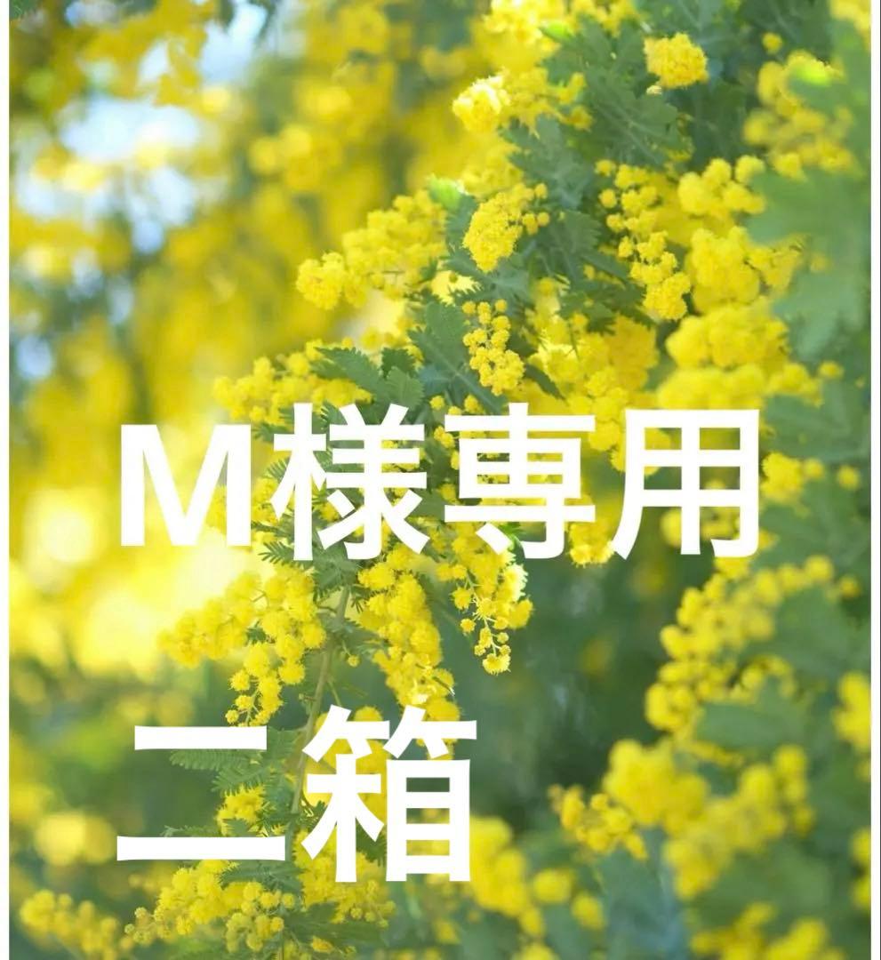 花束・切花 M