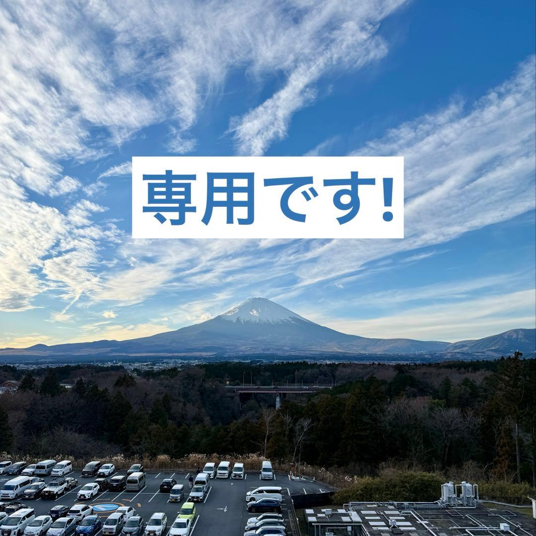 プラチナ エメラルド リング 12号