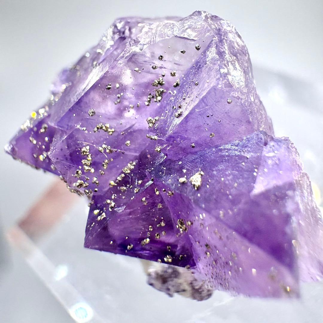 547 中国 内モンゴル産 フローライト&パイライト