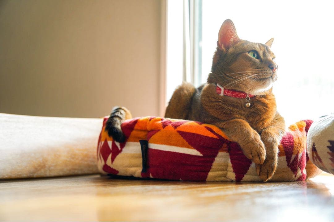 ペットベッド　ハンドメイド444 ペンドルトン　リメイク　猫ベッド　犬ベッド