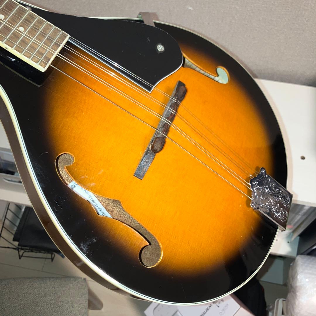 【美品】アリア マンドリン MANDOLIN ARIA AM-20 弦楽器