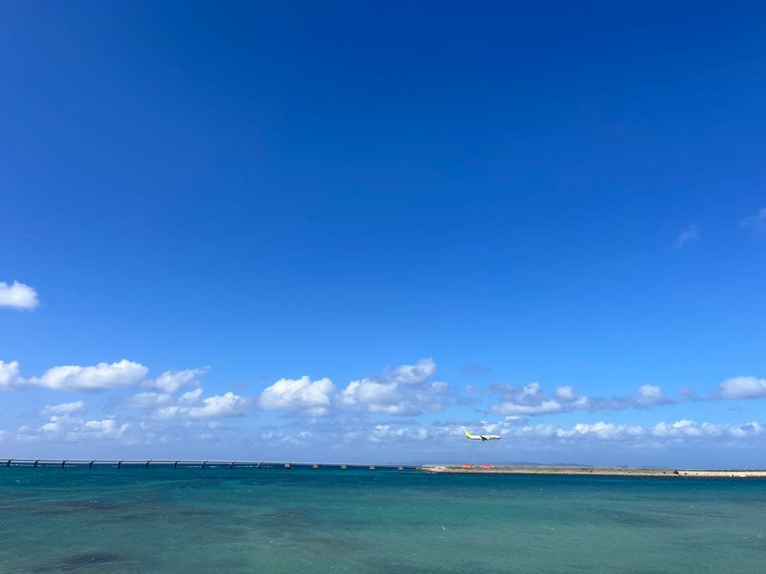 Meissen古マイセン/※美術館級 超レア1級品 ワトー上級4面絵付透かし皿B