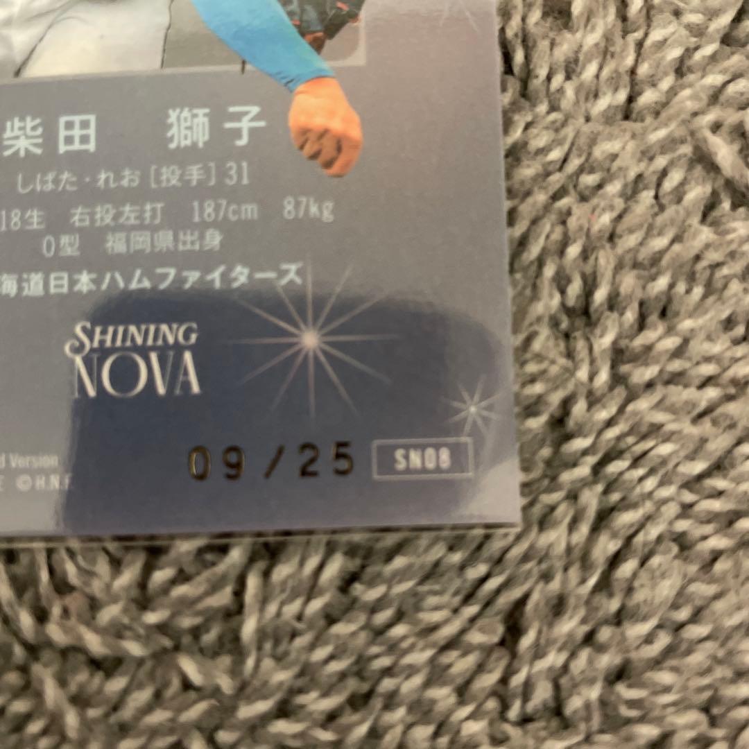 柴田獅子 赤箔サインカード25枚限定