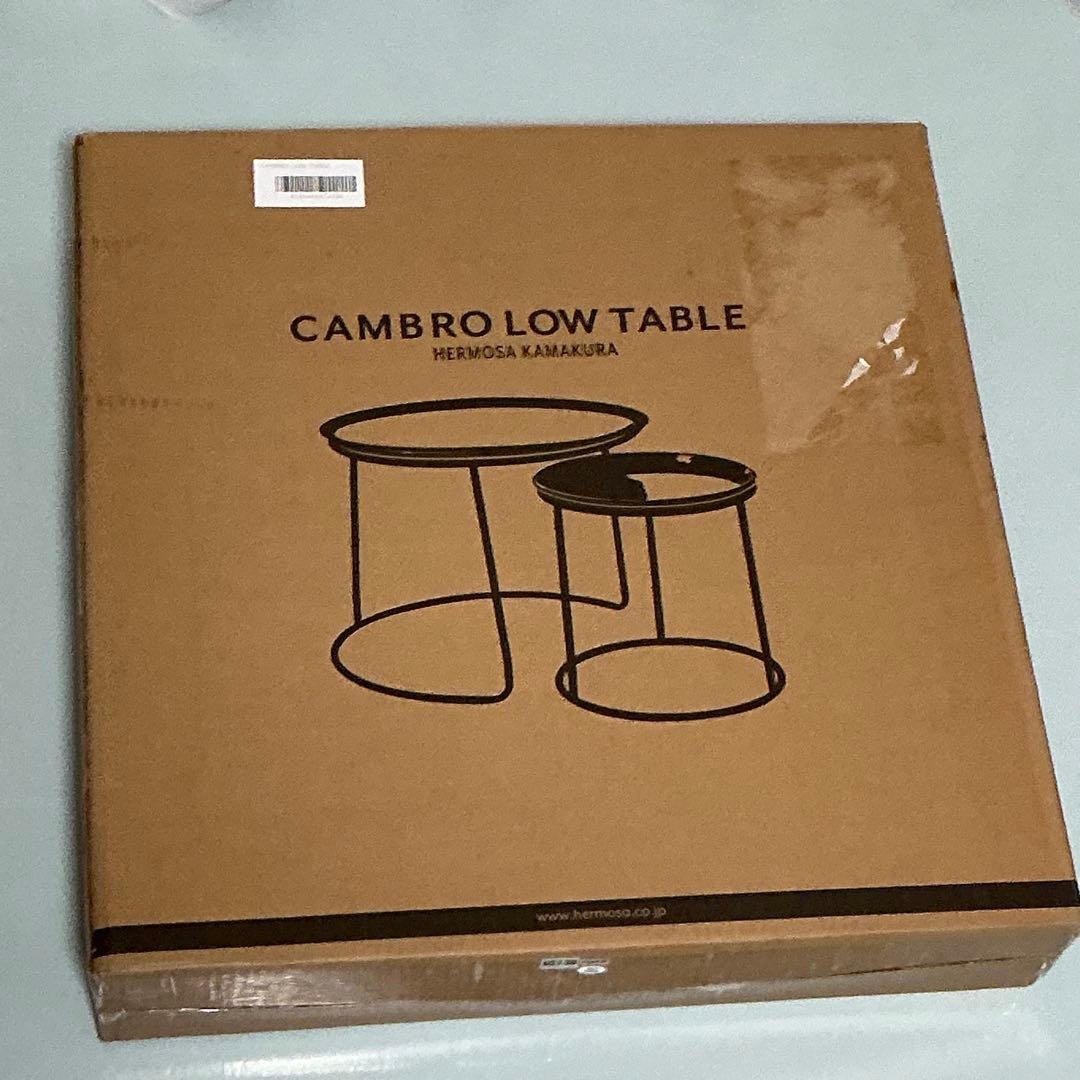 KANADEMONO CAMBRO製トレー ローテーブルブラック＆ホワイト