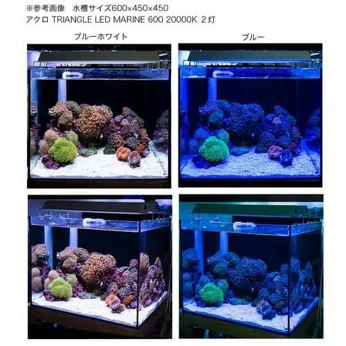 アクロ TRIANGLE LED MARINE 900 海水魚 サンゴ ライト