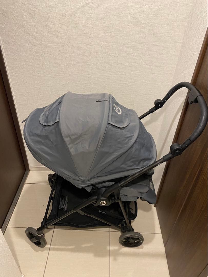 サイベックス　メリオカーボン　2022