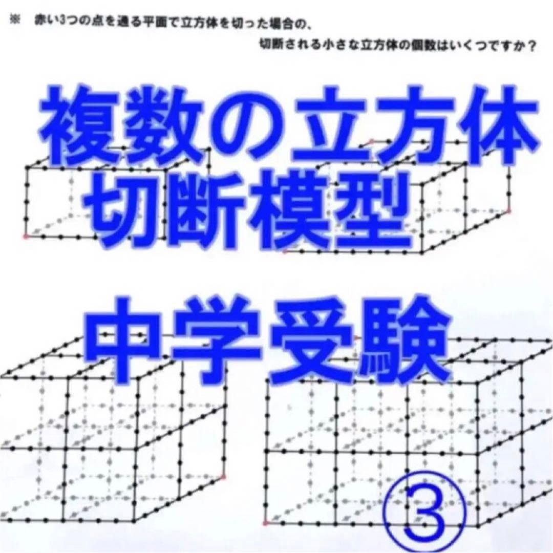 しじみ　立体の切断模型 ①②③④⑤⑥⑦⑧⑨⑩セット