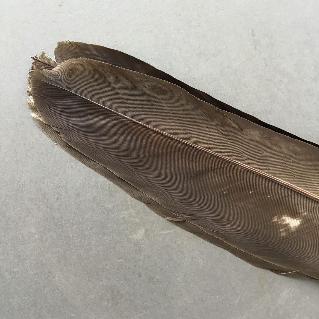 茶道具　羽箒　三ツ羽根(犬鷲一双)炉用•風炉用　紙箱　S28HB