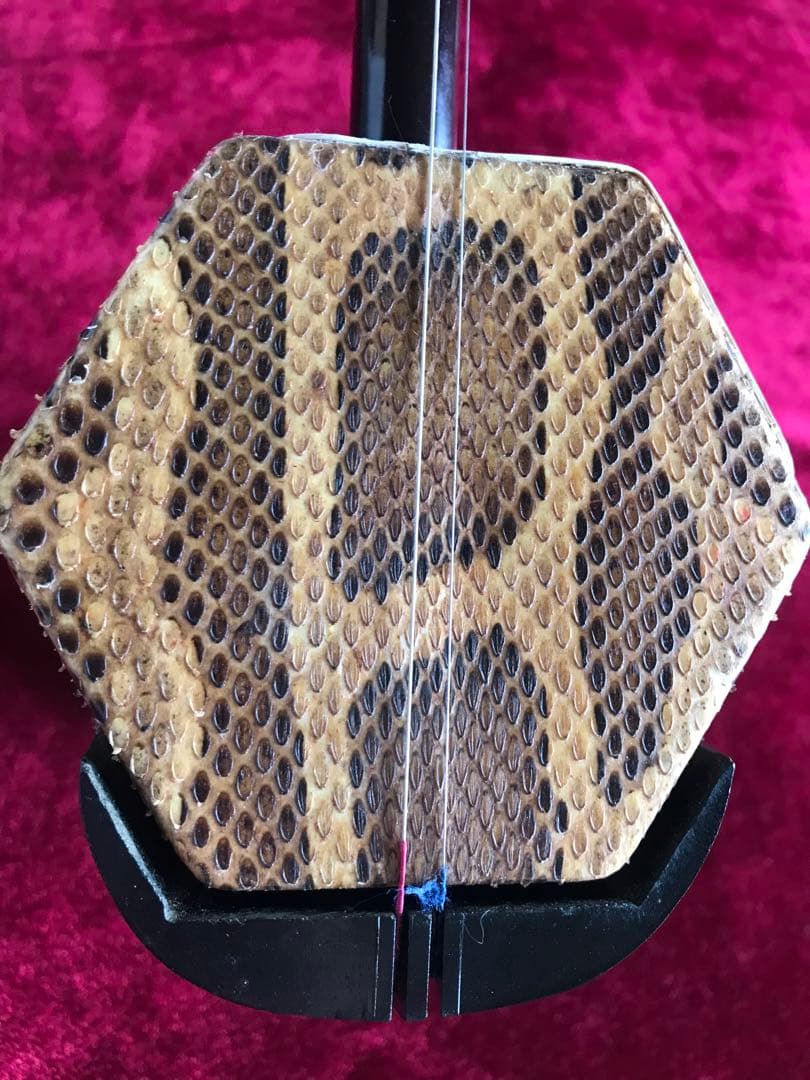 二胡★中古品★蛇本皮★必需品揃い★音など確認済み