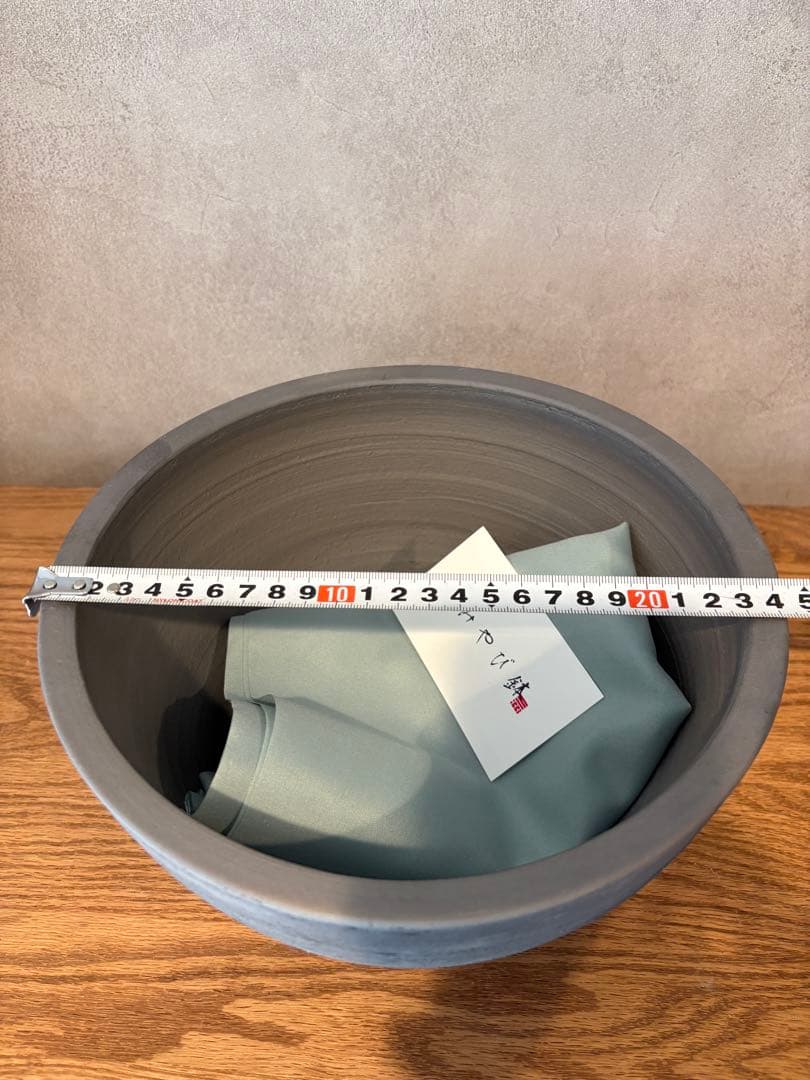 【パキプー】オペルクリカリア　パキプス　発根済み　みやび鉢