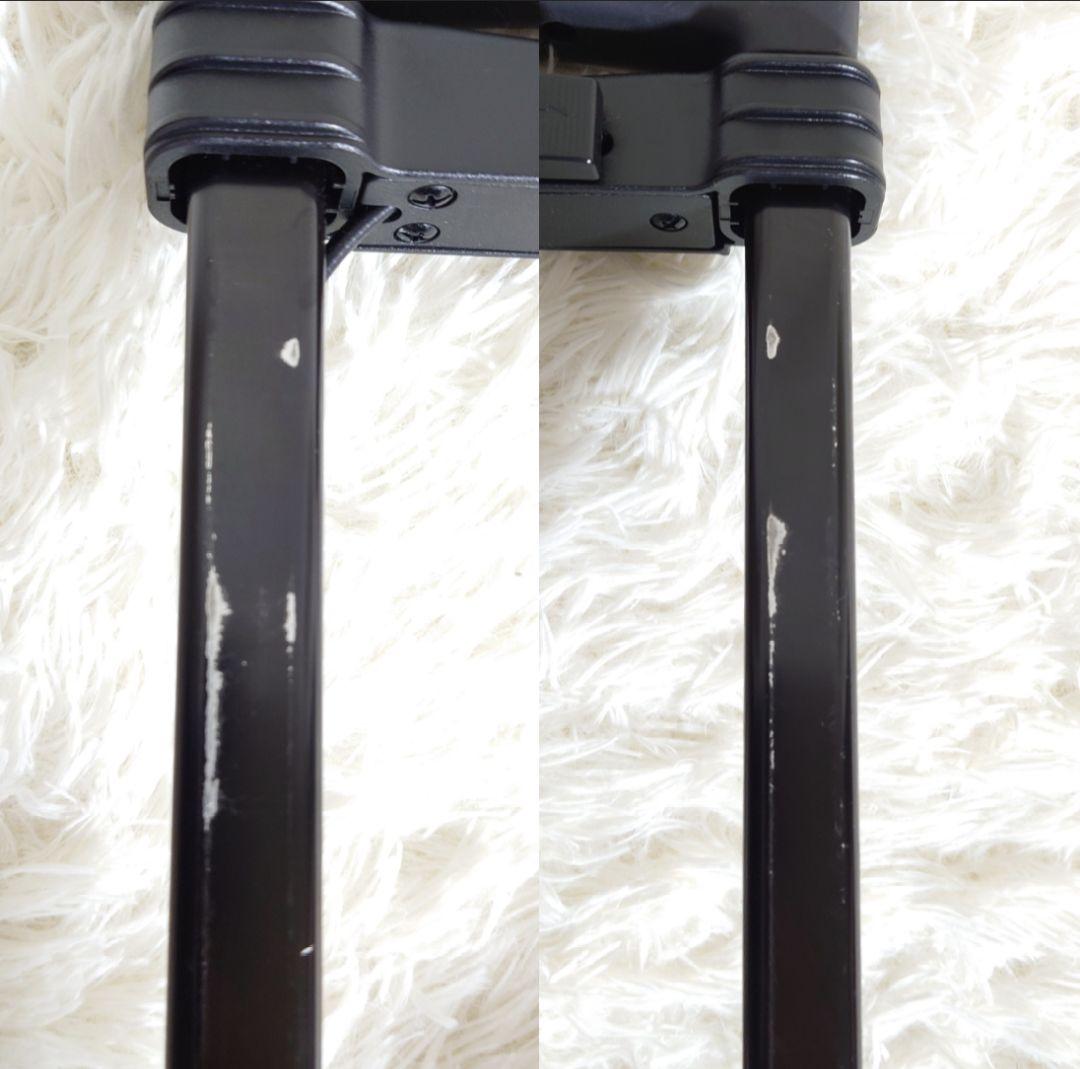 スワニー ルバンド キャリーバッグ ４輪ストッパー付 Lサイズ