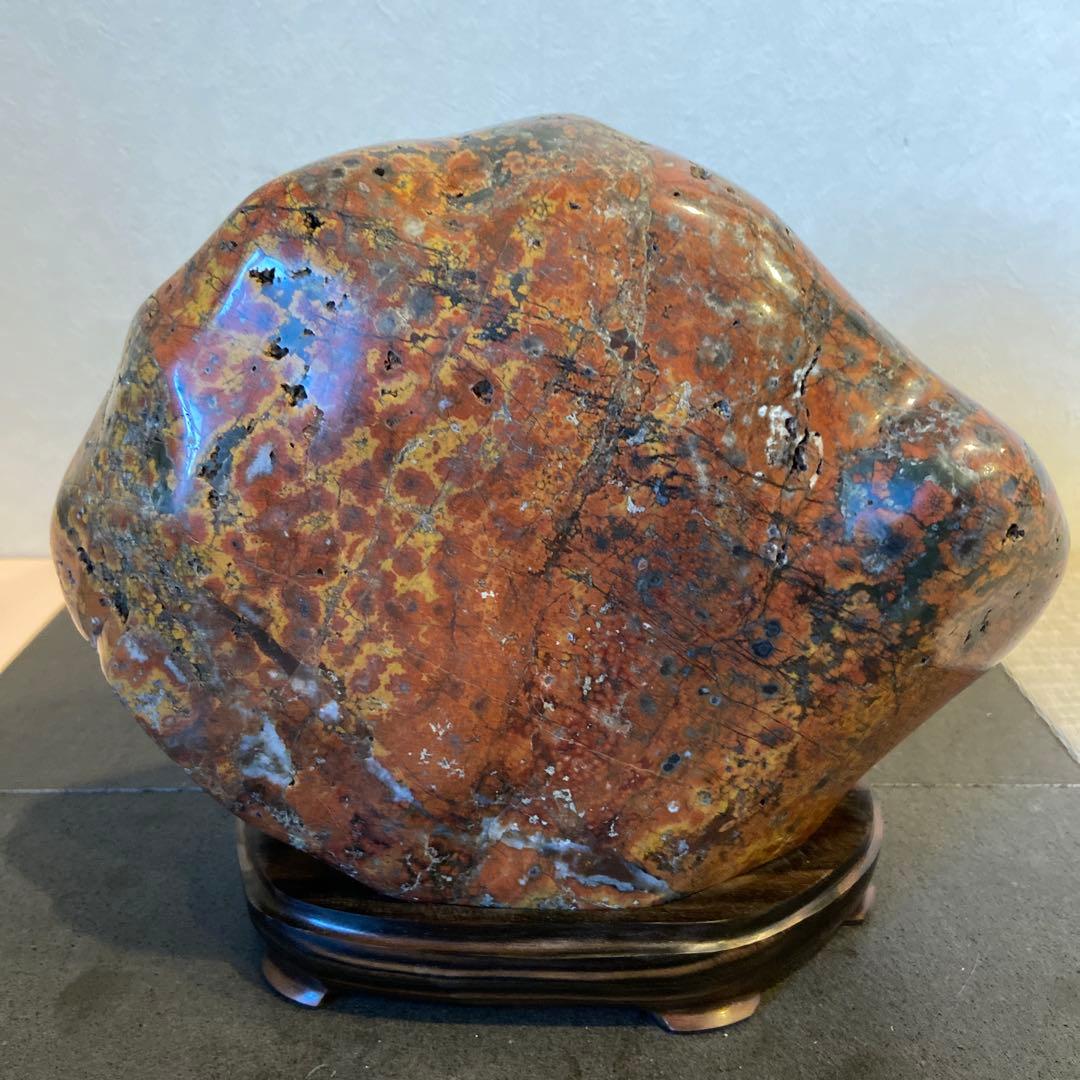 根尾桜石　7.9kg ★ 鑑賞石　菊花石　桜石