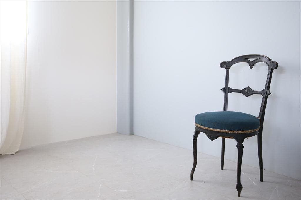 フランスアンティーク木製ナポレオンチェア/ダイニングイス椅子(90-66-2)