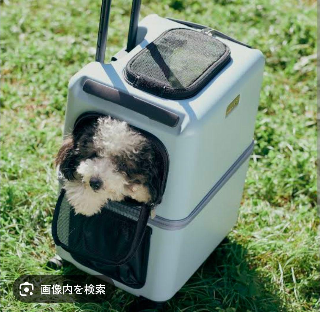 ペットキャリー ライトブルー PETICO ico Mサイズ　未使用値下げ