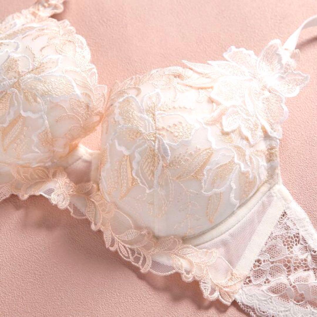 ①リピ割-100★複数割-200★E70、フルバックL♡追加フルバックL2枚✨