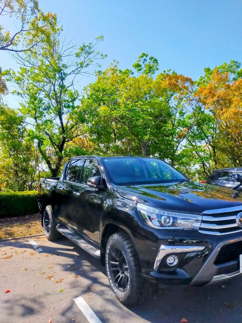 RAYS 57XR-X　265/65R17 トーヨータイヤ　オープンカントリー