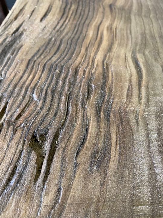 [即購入OK] 鳥海山神代杉　耳付き一枚板　新品未使用　DIY素材　無垢材　土埋