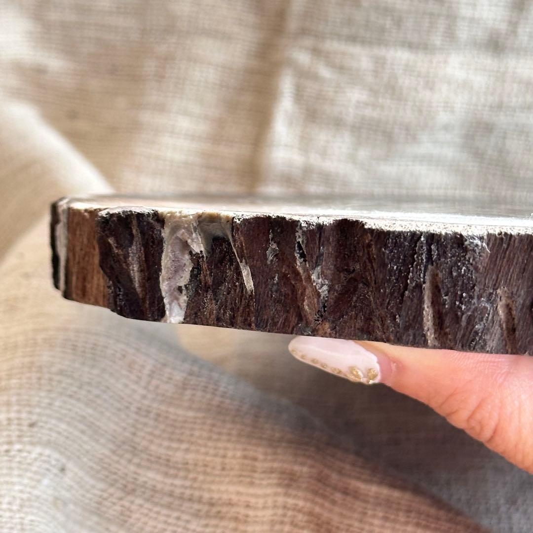 【珪化木】ペトリファイドウッド スラブ インドネシア産