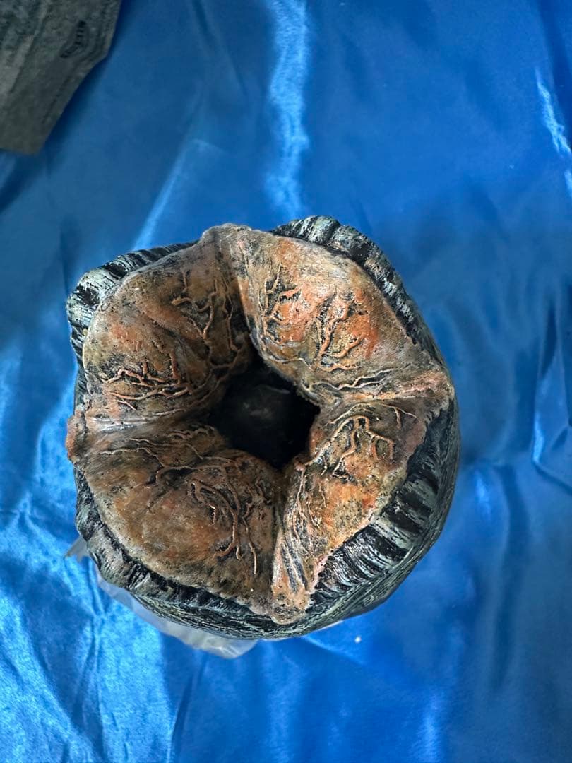 Fossil ALIENS Wachi世界限定5000 エイリアンエッグ　未使用