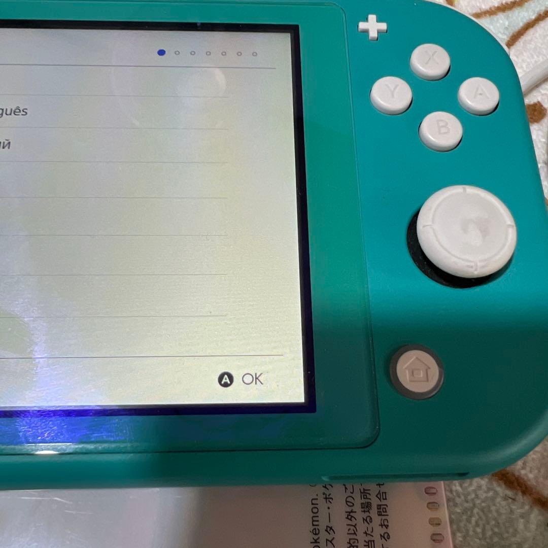 自*n様 Nintendo Switch Lite ターコイズ