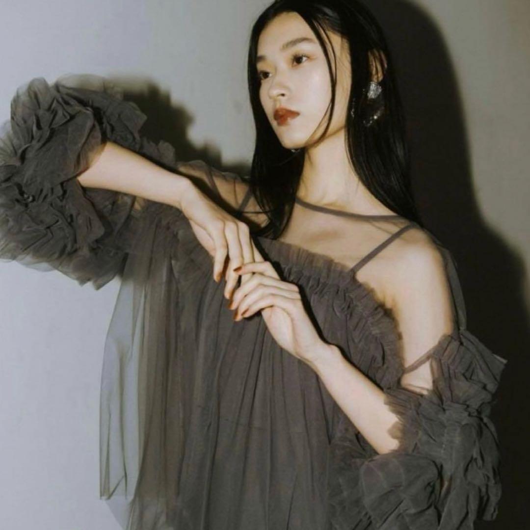 ANDRESDオールインワンドレス　デコラティブチュールトップス