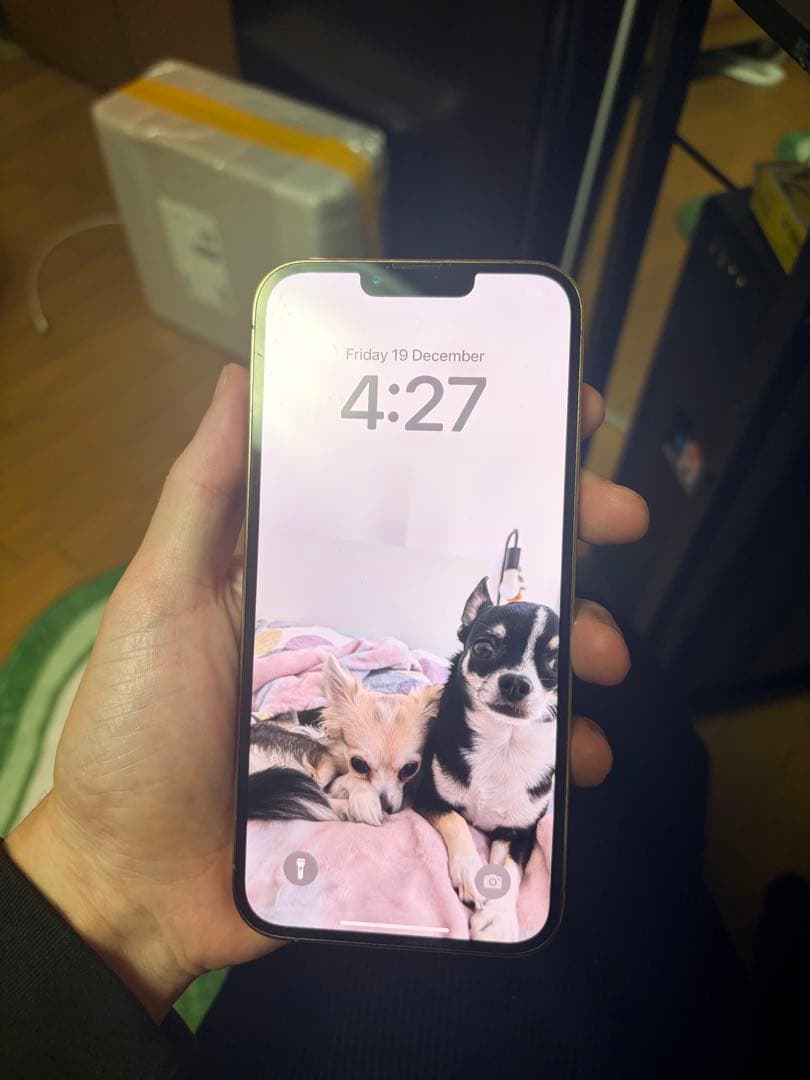 Apple iPhone 13 Pro ゴールド