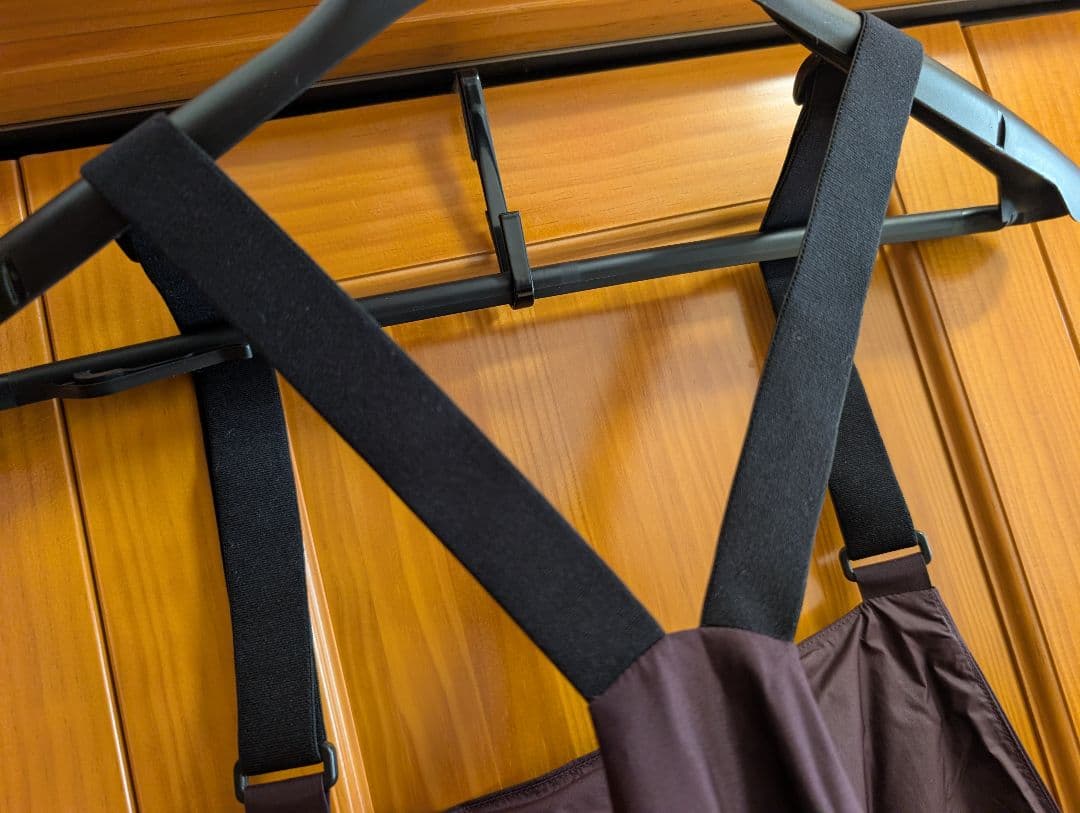 Patagonia メンズ・パウダー・タウン・ビブ オブシディアンプラム L