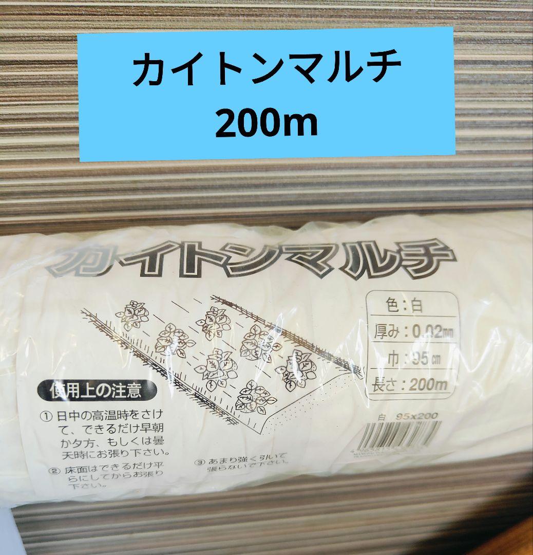 カイトンマルチ 200m 白