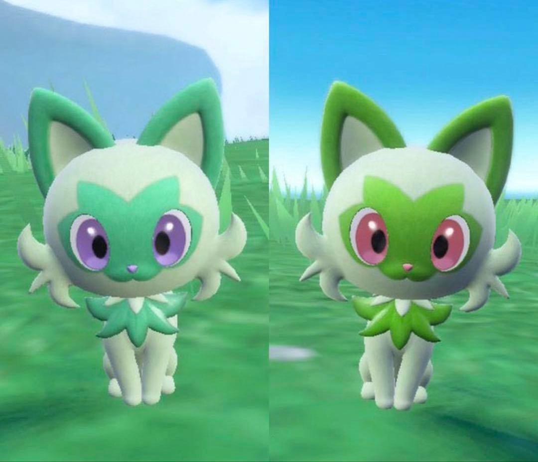 ポケモン 色違い ニャオハ 60cm 特大 ぬいぐるみ ポケットモンスター