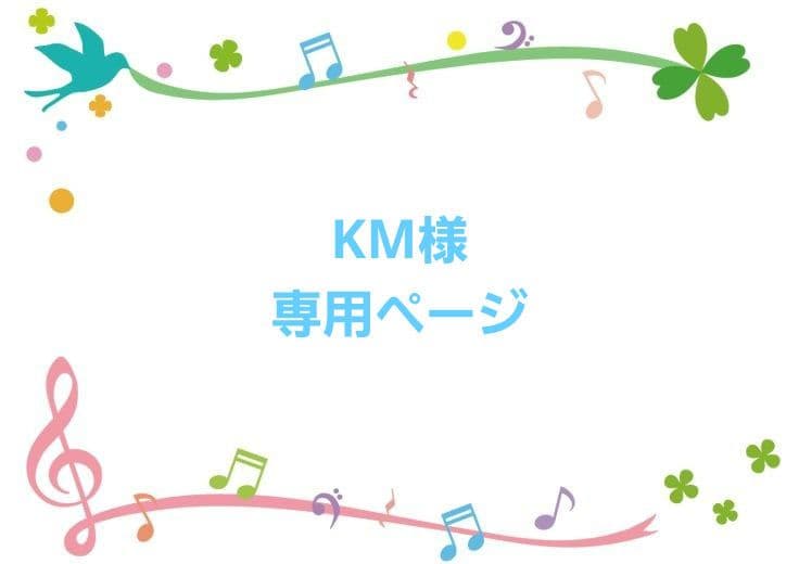 KMページ