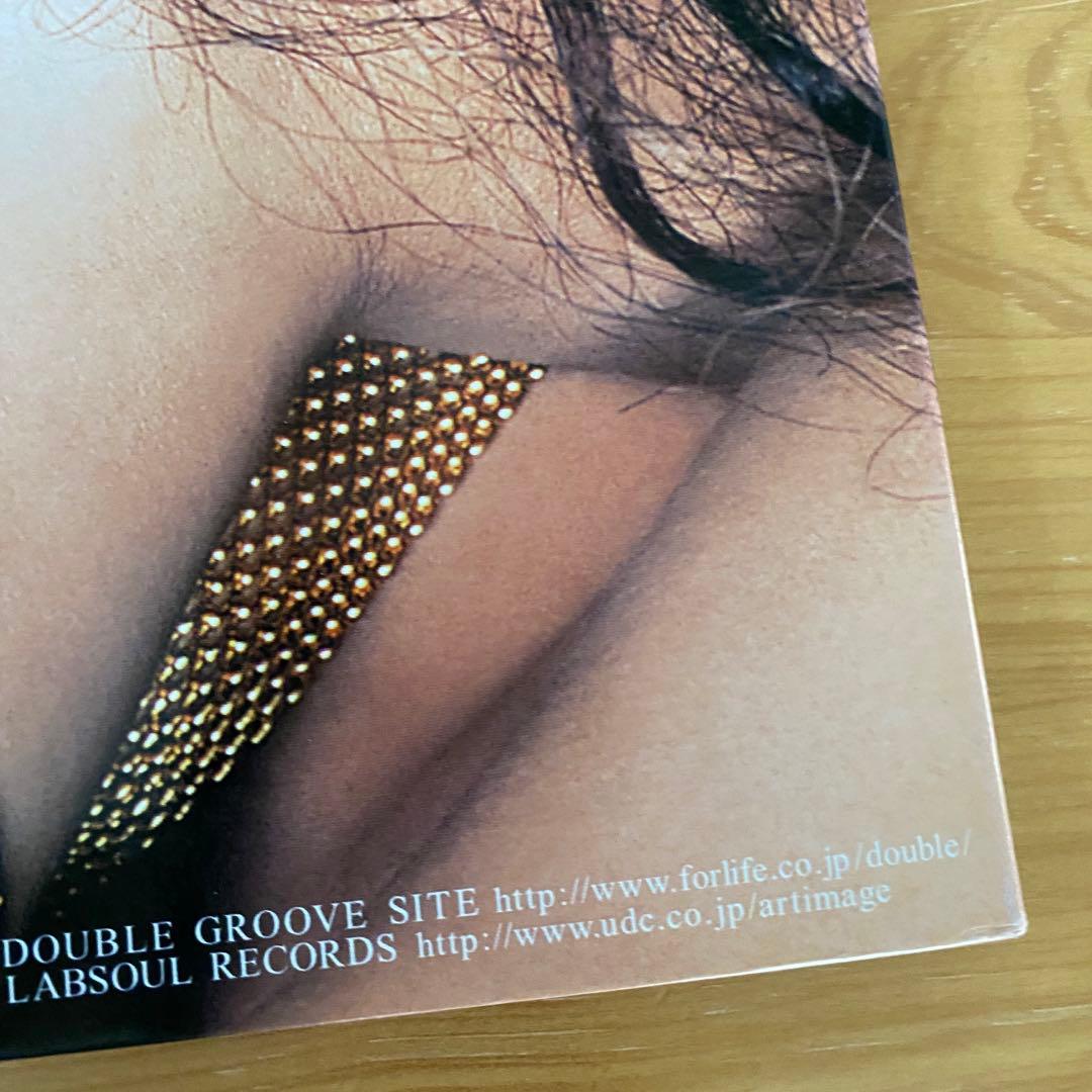 【タ】DOUBLE『VISION』2枚組LPレコード 美品