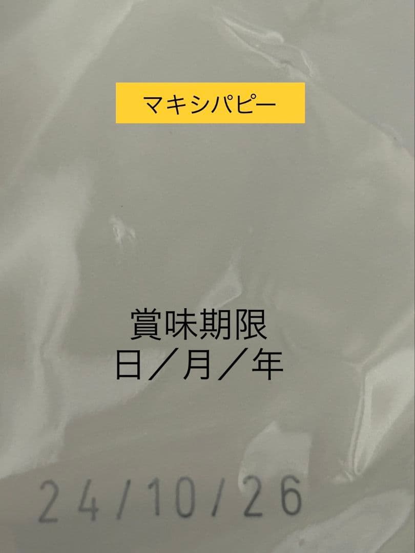  CANIN マキシパピー 16kg ドライフード