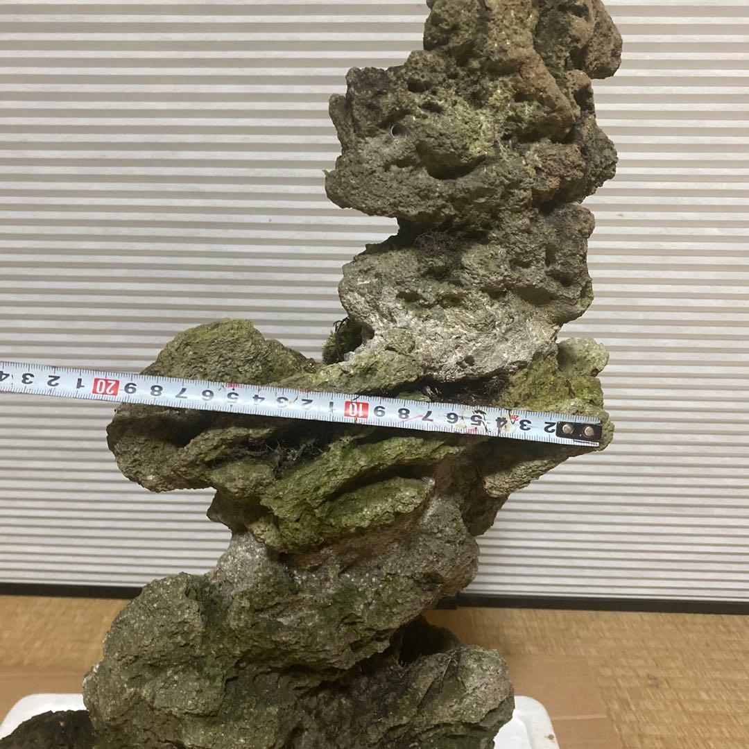 【美形】軽石　岩石　水槽　装飾 アクアリウム　NO3