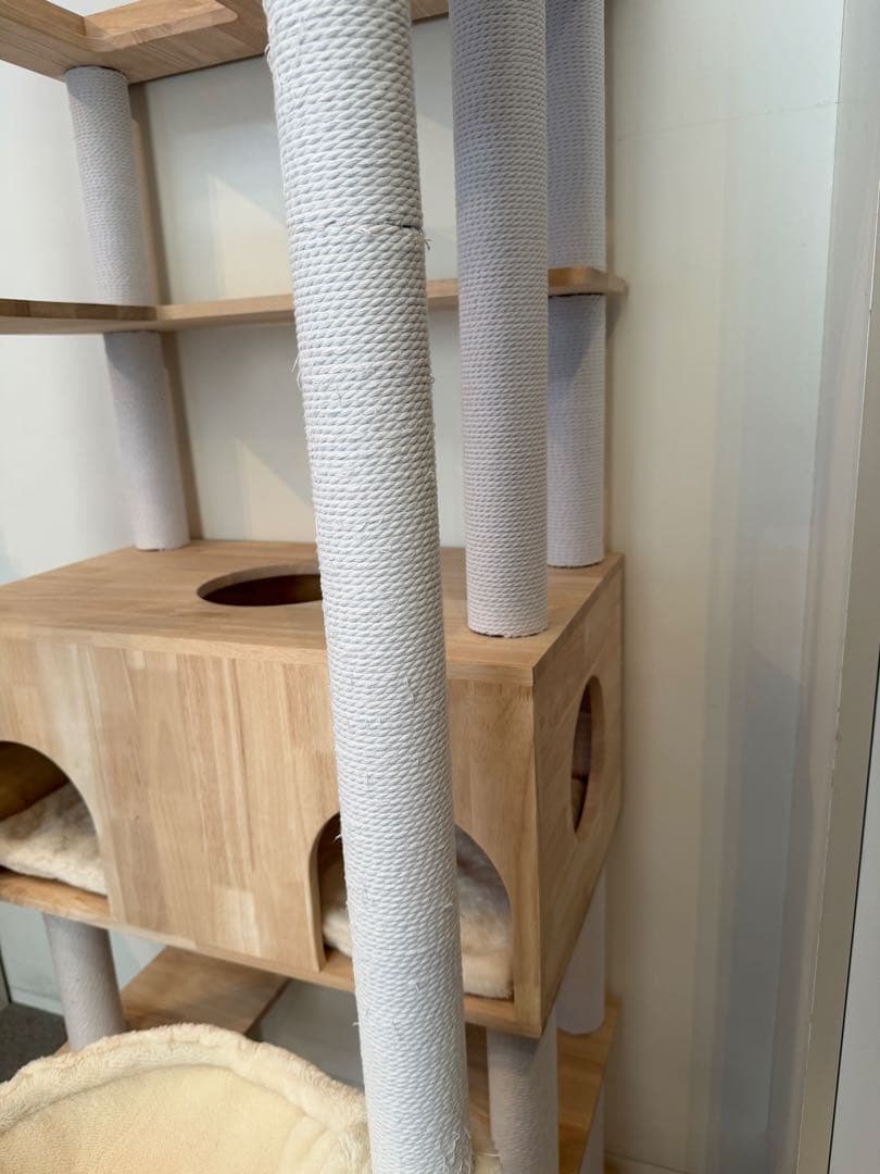 キャットタワースタジアム＊2024年購入