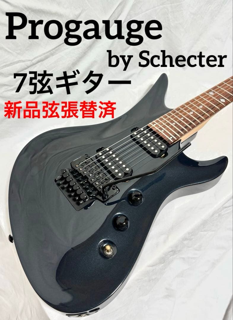 【新品弦張替済】Progauge 7弦ギター フロイドローズ シェクター