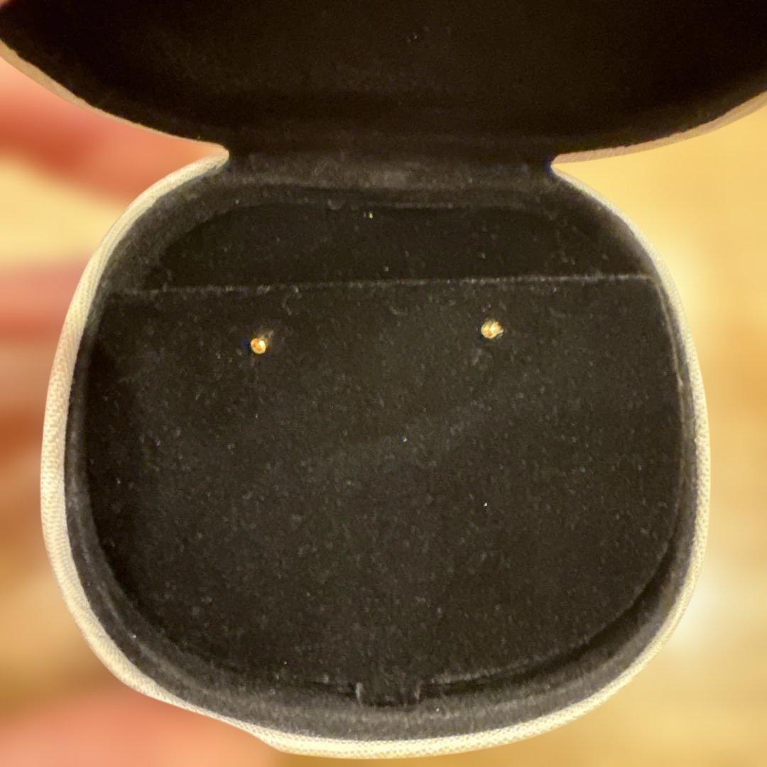 ノグチ　小さめピアス