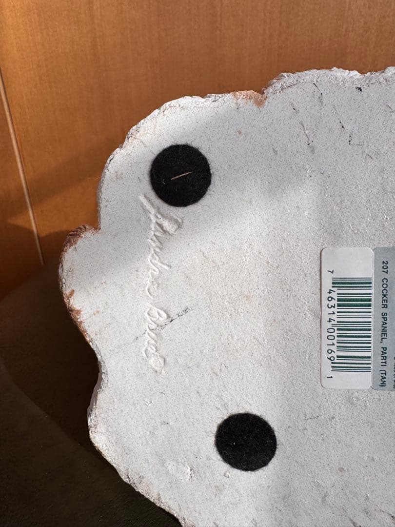 アメリカンコッカースパニエル　パーティ　サンディキャスト