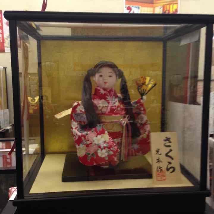 1万円 市松人形 さくら ケース付き 〔雛人形〕