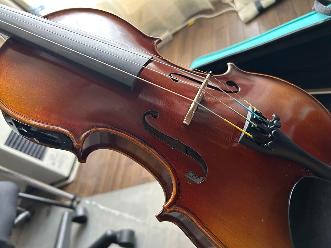 レイニ　Pretorio EV-300