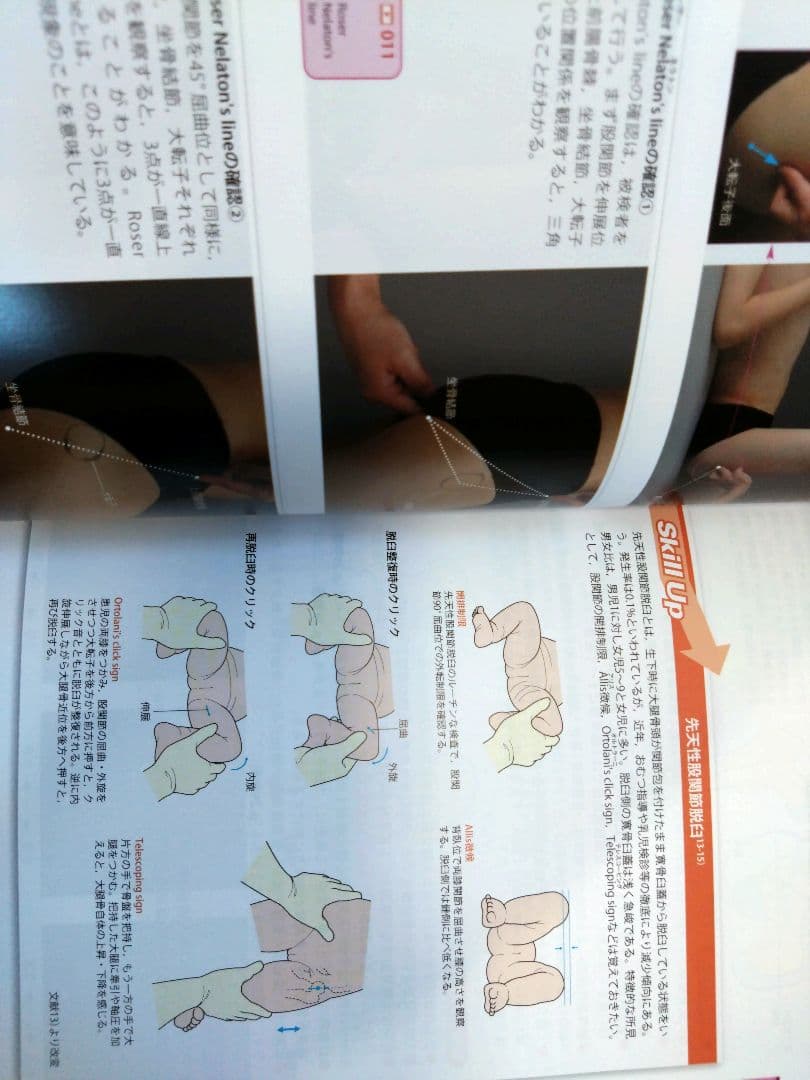 機能解剖学的触診技術 最新上下肢セット　理学療法士　作業療法　リハビリ　まとめ売