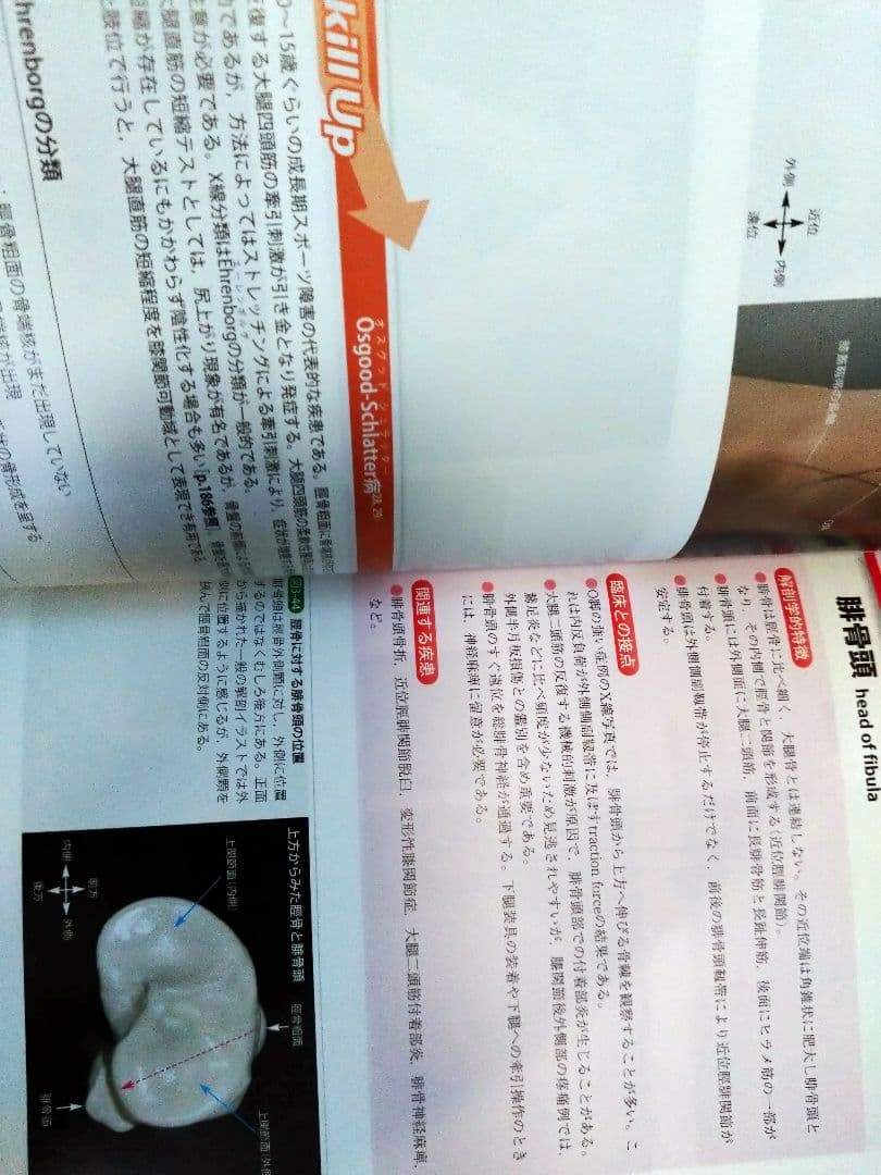 機能解剖学的触診技術 最新上下肢セット　理学療法士　作業療法　リハビリ　まとめ売