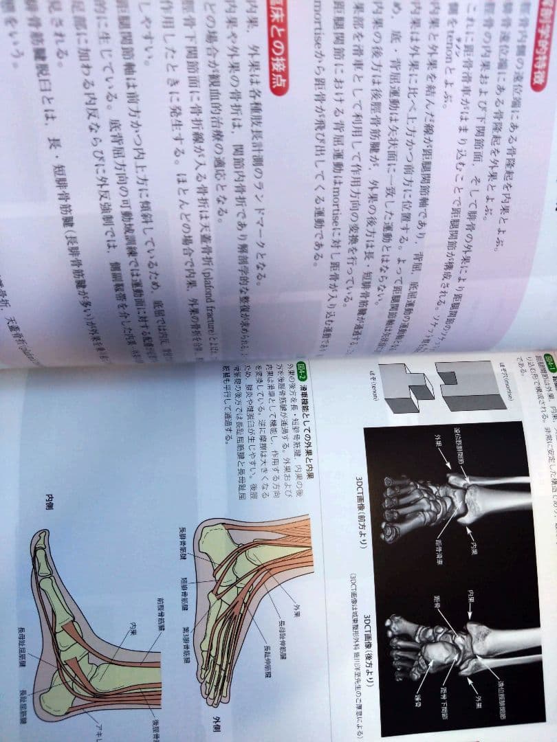 機能解剖学的触診技術 最新上下肢セット　理学療法士　作業療法　リハビリ　まとめ売