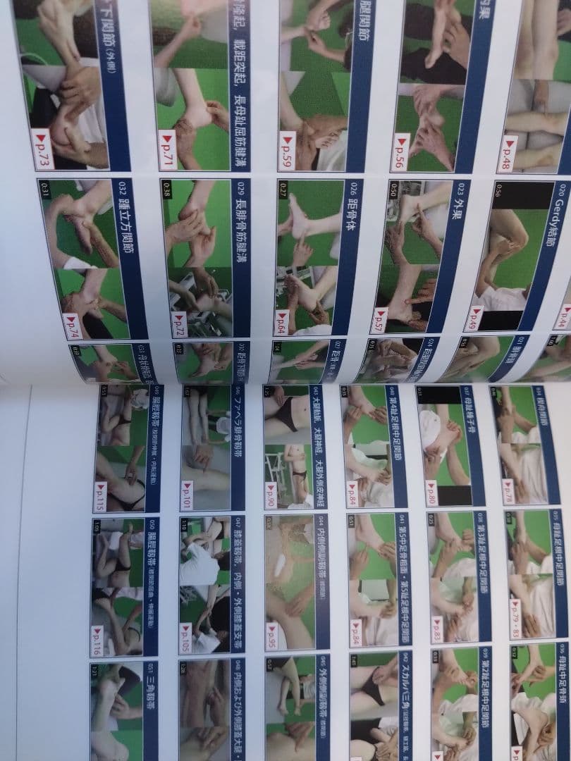 機能解剖学的触診技術 最新上下肢セット　理学療法士　作業療法　リハビリ　まとめ売