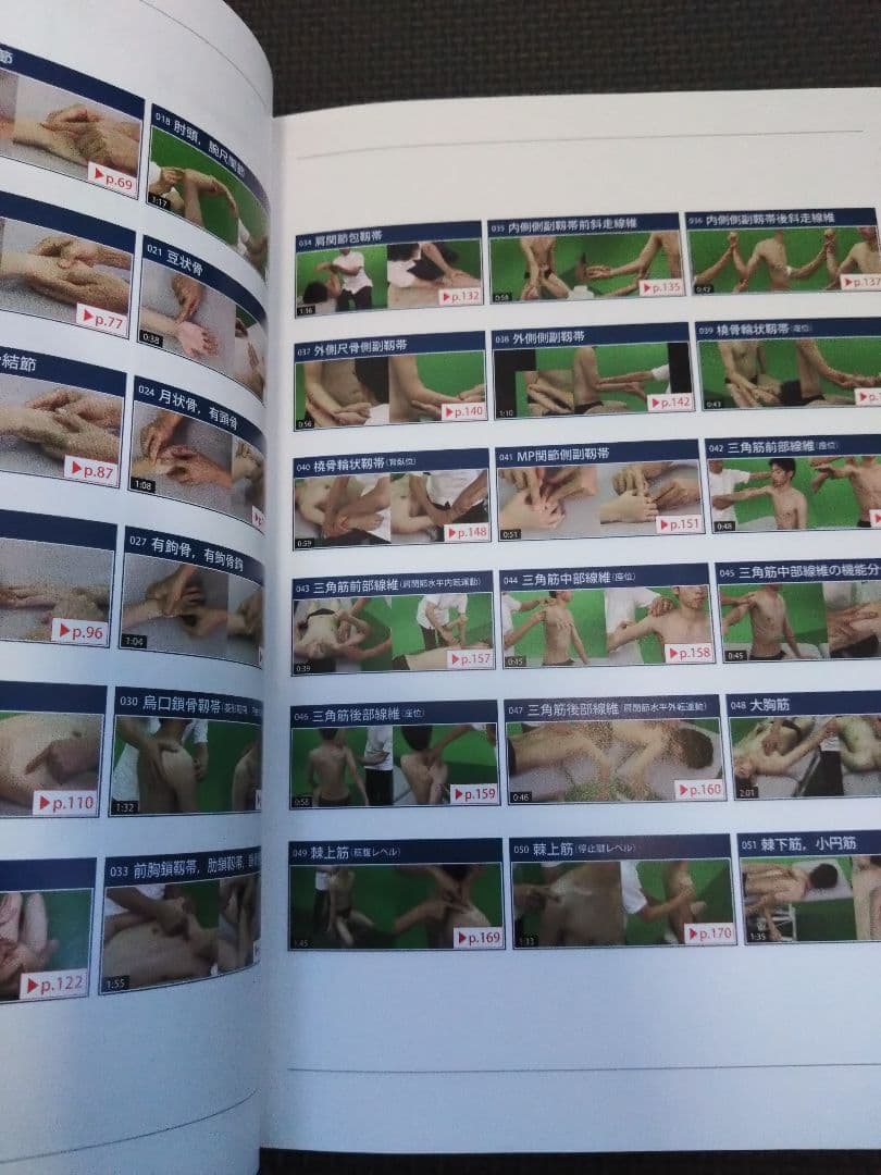 機能解剖学的触診技術 最新上下肢セット　理学療法士　作業療法　リハビリ　まとめ売