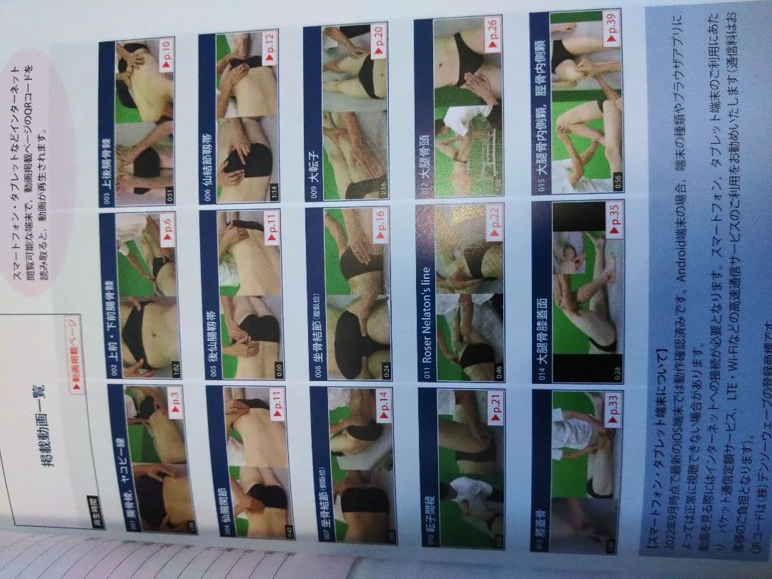 機能解剖学的触診技術 最新上下肢セット　理学療法士　作業療法　リハビリ　まとめ売