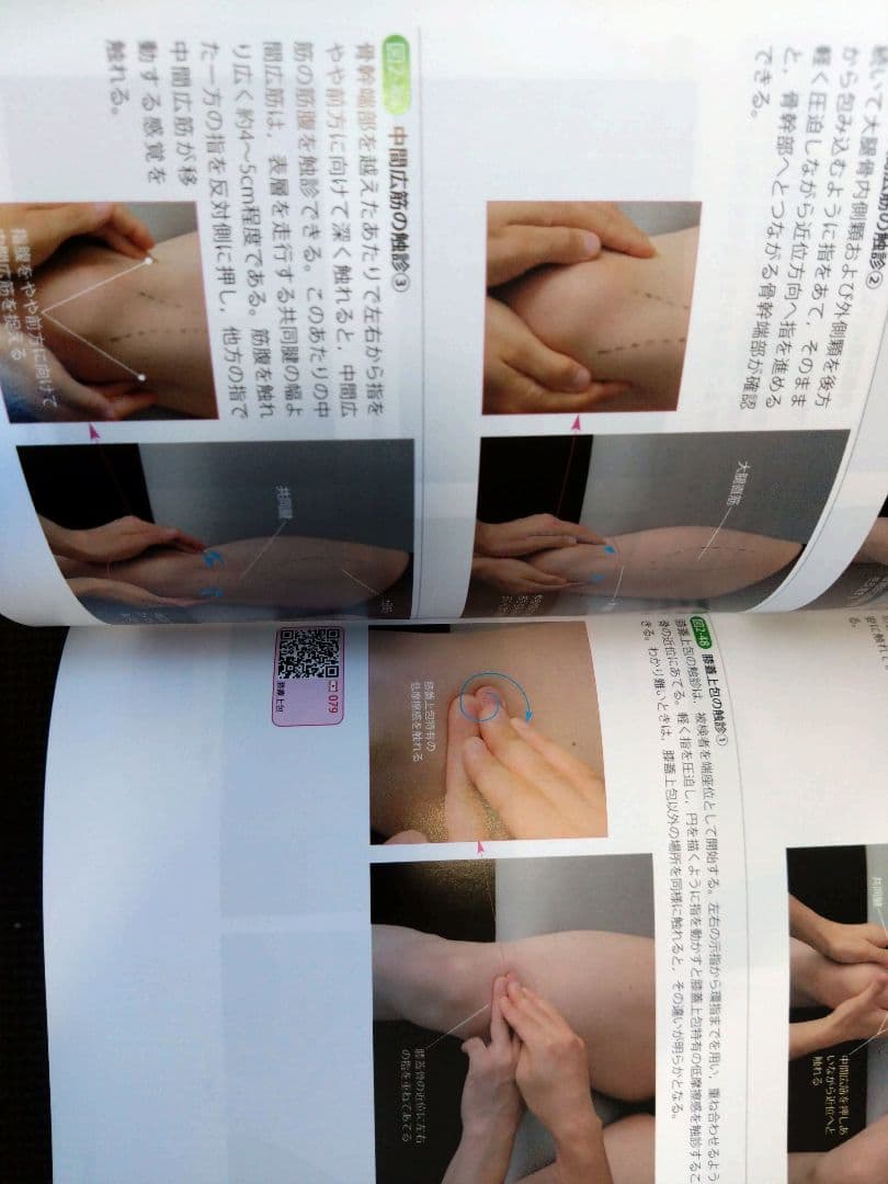 機能解剖学的触診技術 最新上下肢セット　理学療法士　作業療法　リハビリ　まとめ売