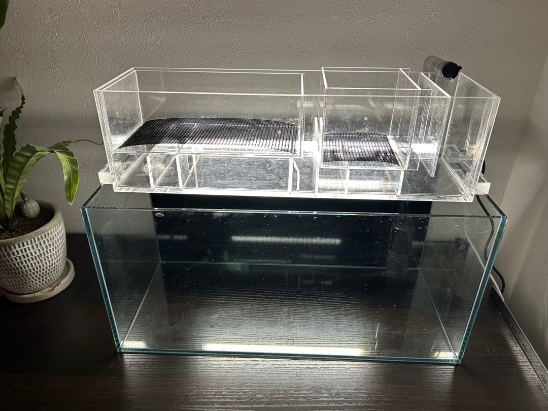 すぐ始められる！！上部濾過式アクアポニックス水槽アクアリウム水槽