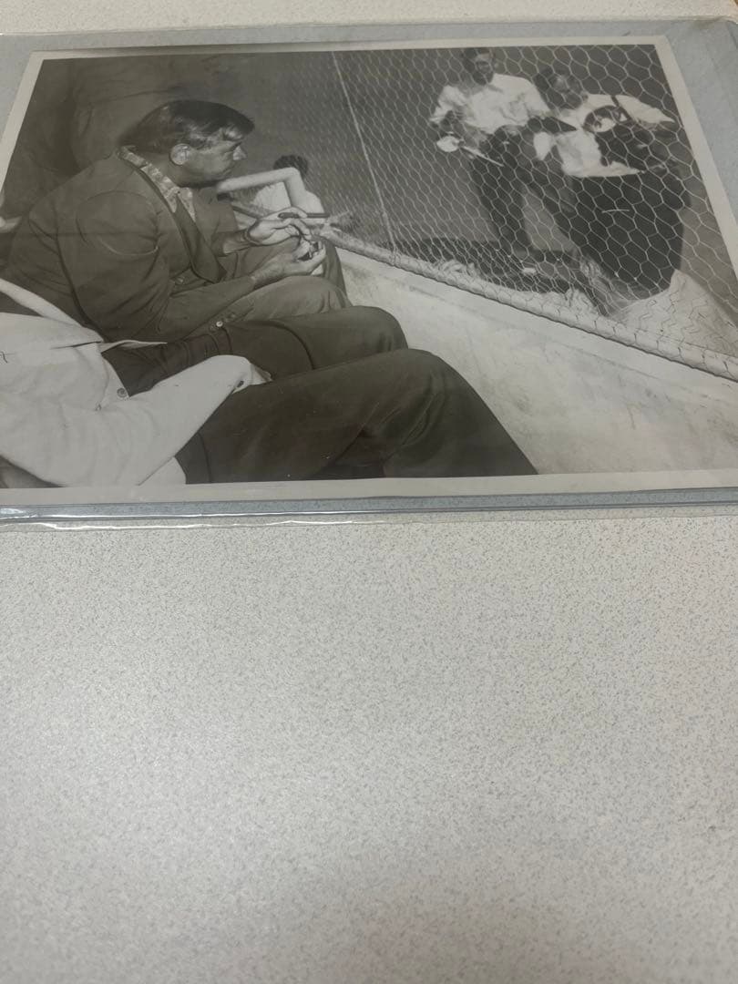 本物　生写真　ベーブルース　野球　アメリカ