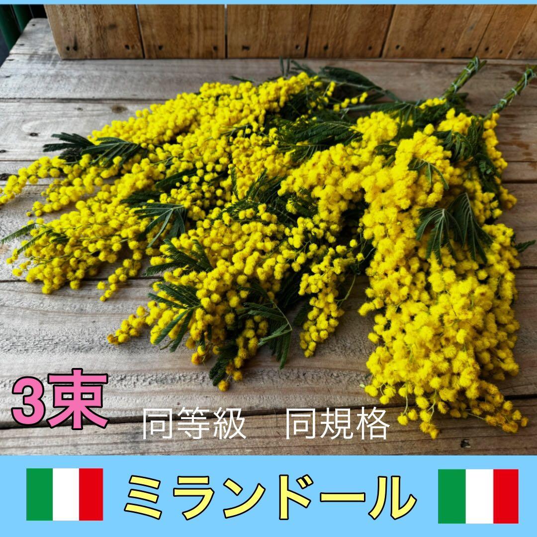 Couronne♡mignonne様 リクエスト 3点 まとめ商品