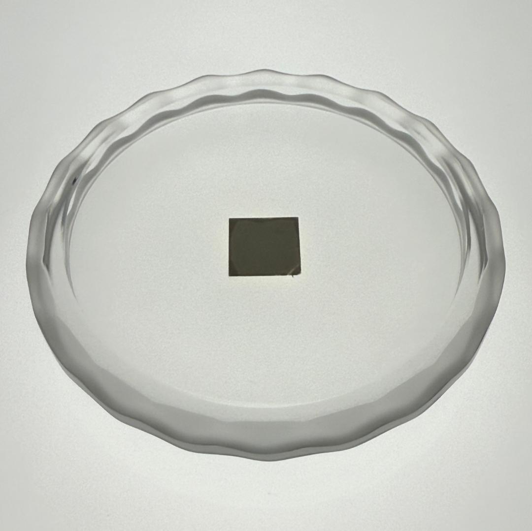 ラリック カナール LALIQUE CANARD パウダーケース 小物入